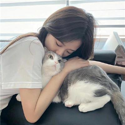虹猫蓝兔七侠外传 跳跳篇