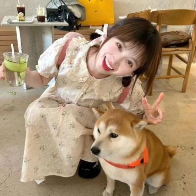灵狼传奇